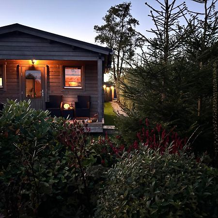 Chalet In Het Groen Met Airco Drachtstercompagnie Экстерьер фото