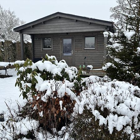 Chalet In Het Groen Met Airco Drachtstercompagnie Экстерьер фото