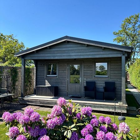 Chalet In Het Groen Met Airco Drachtstercompagnie Экстерьер фото
