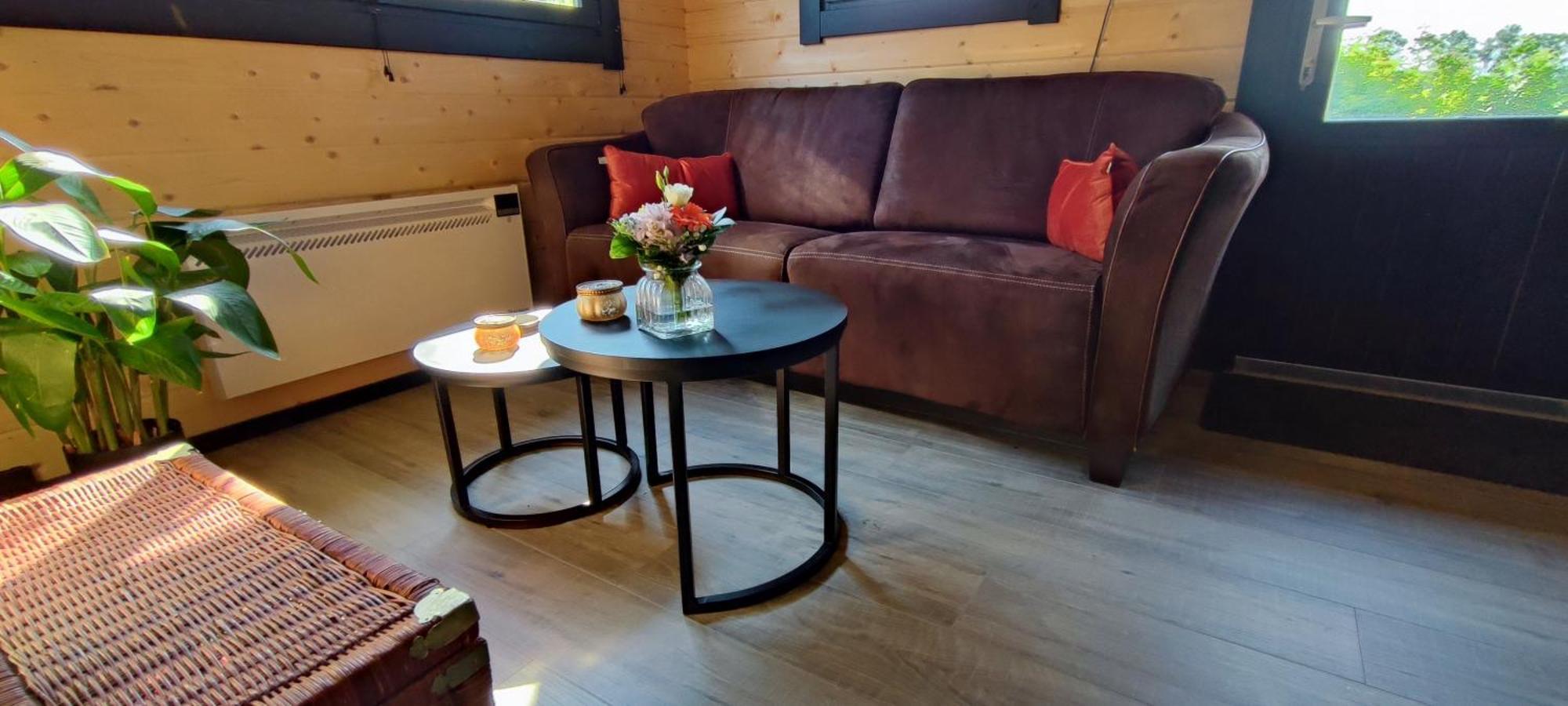 Chalet In Het Groen Met Airco Drachtstercompagnie Экстерьер фото