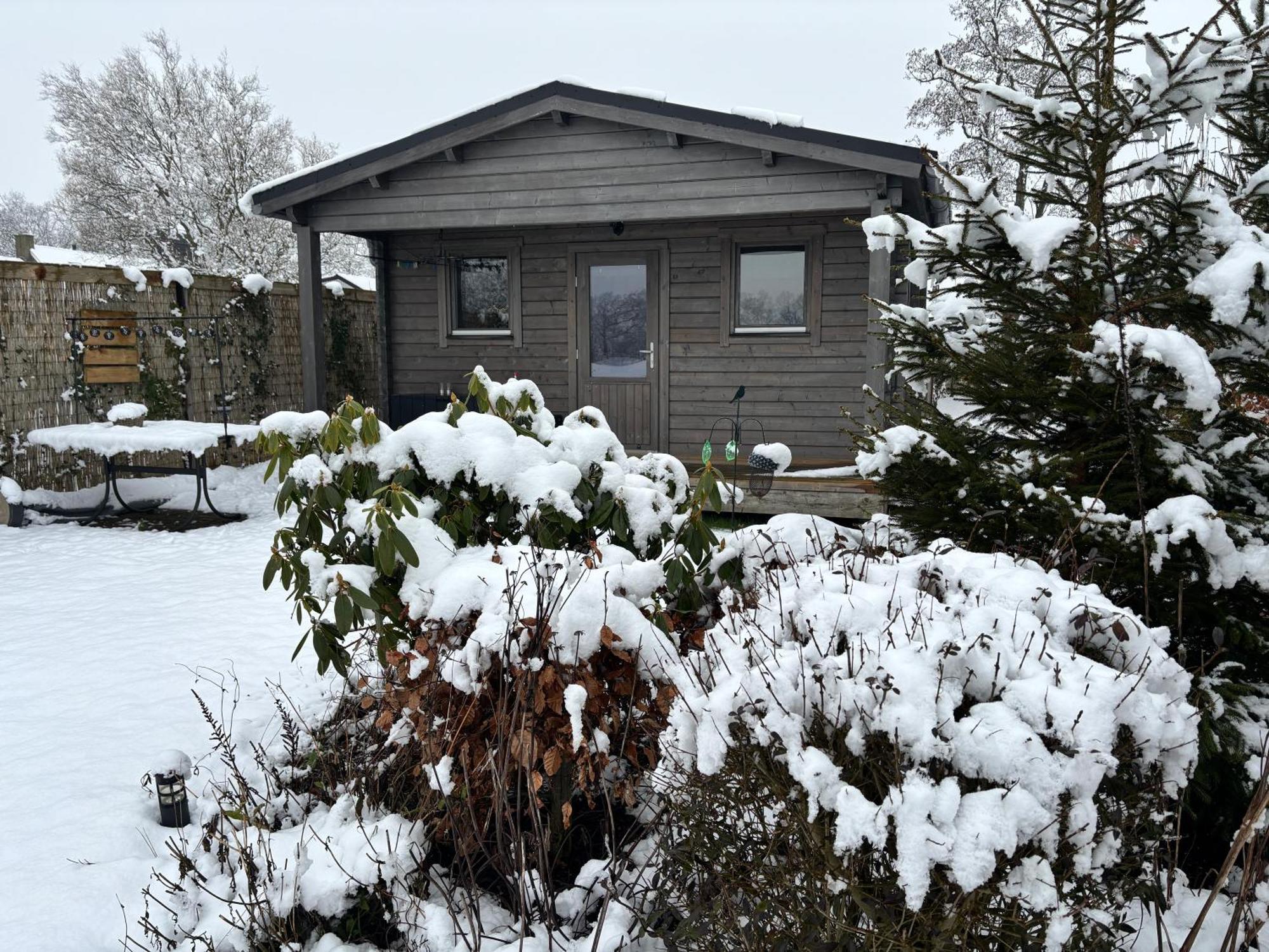 Chalet In Het Groen Met Airco Drachtstercompagnie Экстерьер фото